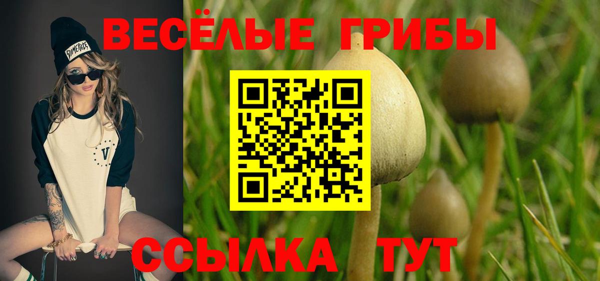 Псилоцибиновые грибы Psilocybine cubensis Кизляр