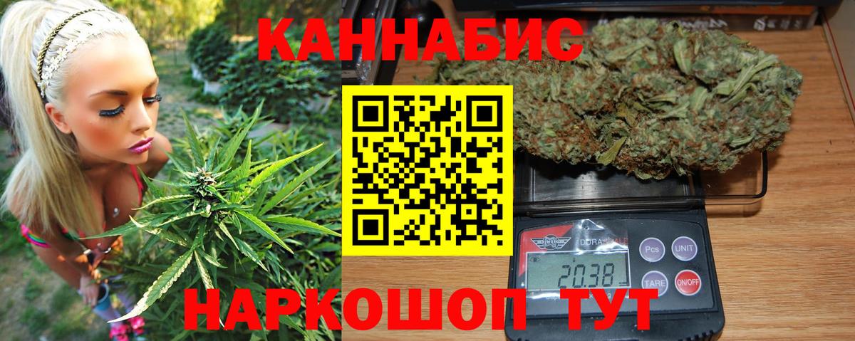 Шишки марихуана ГИДРОПОН Кизляр